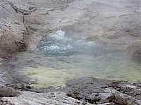 Yellowstone Norris Geyser (41).JPG